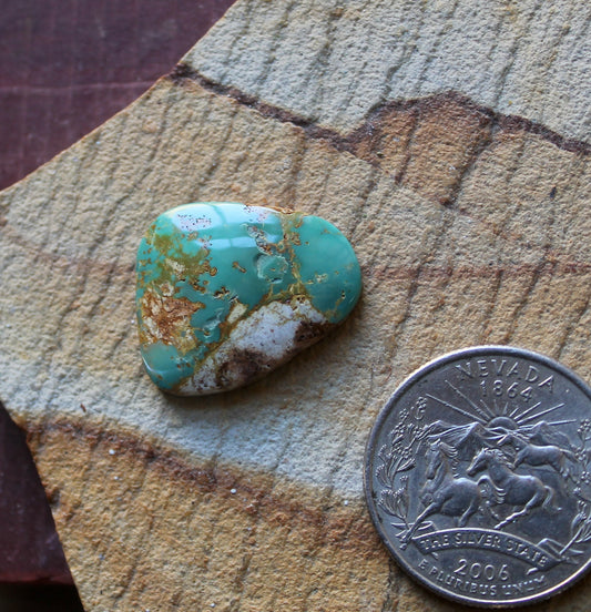 10 carat green Stone Mountain Turquoise cabochon