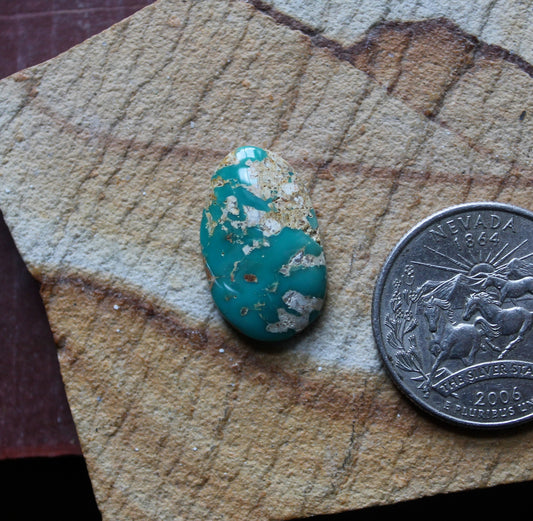 9 carat teal green Stone Mountain Turquoise cabochon 9 carat teal green Stone Mountain Turquoise cabochon