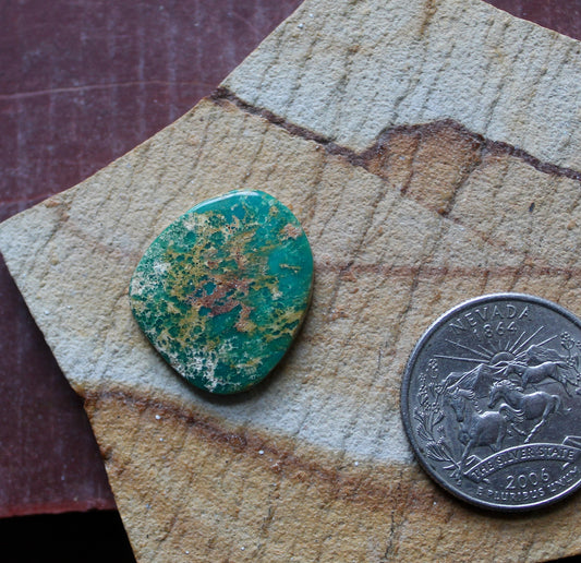 12 carat teal green Stone Mountain Turquoise cabochon