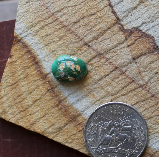 5 carat green Stone Mountain Turquoise cabochon