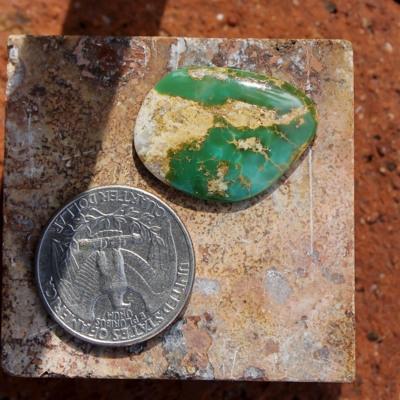 Green boulder turquoise with contrasting tan-brown matrix