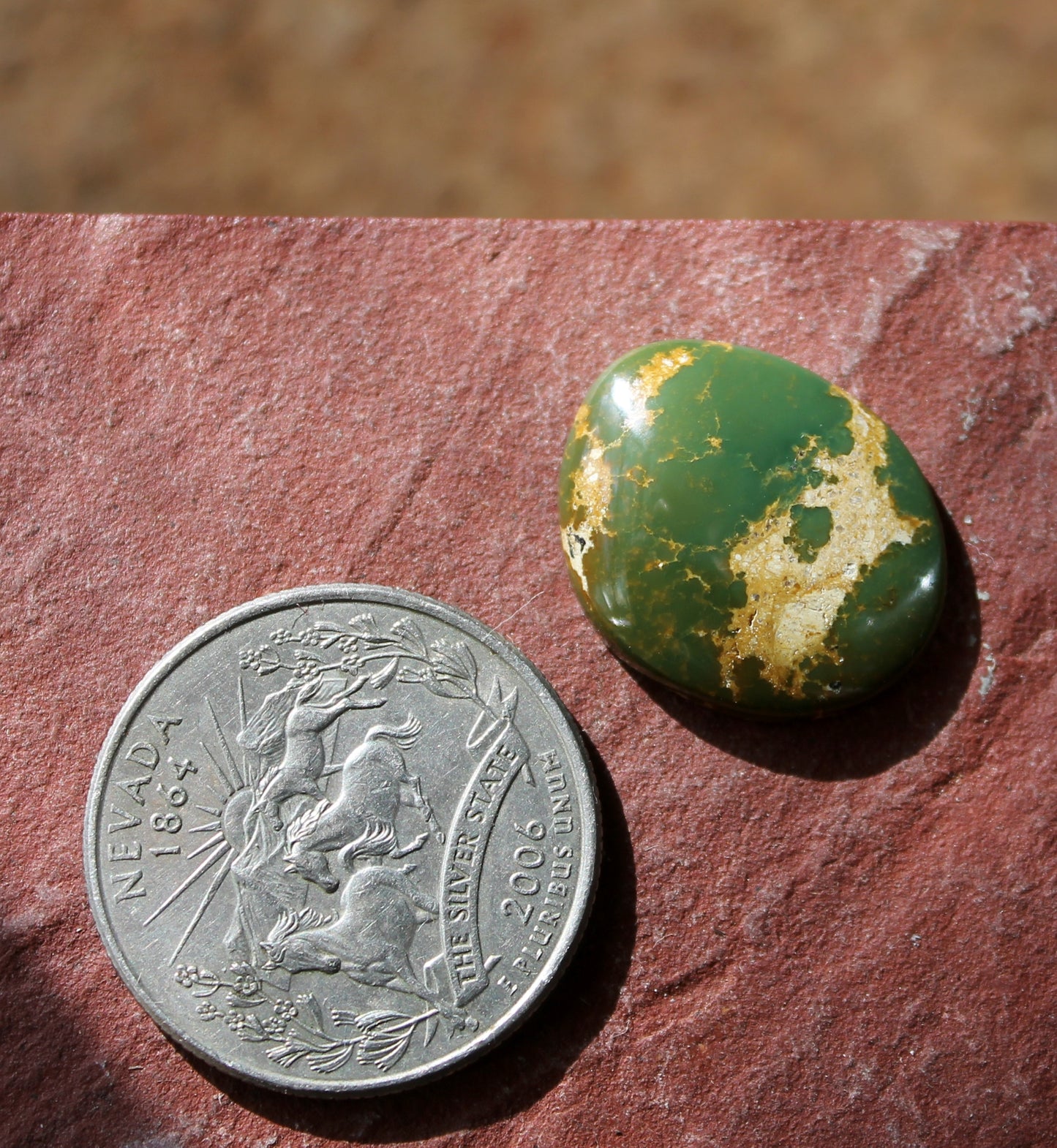10.9 carat dark green Stone Mountain Turquoise cabochon with brown matrix