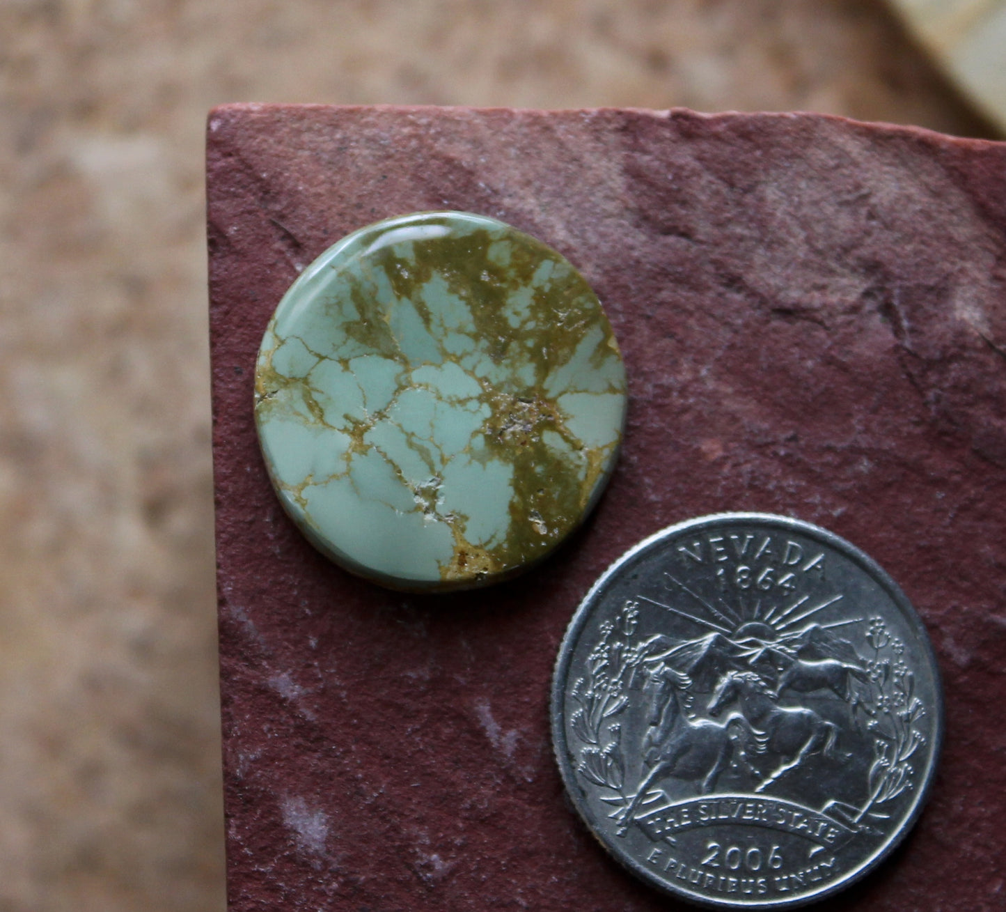 16 carat chocolate green Stone Mountain Turquoise round cabochon