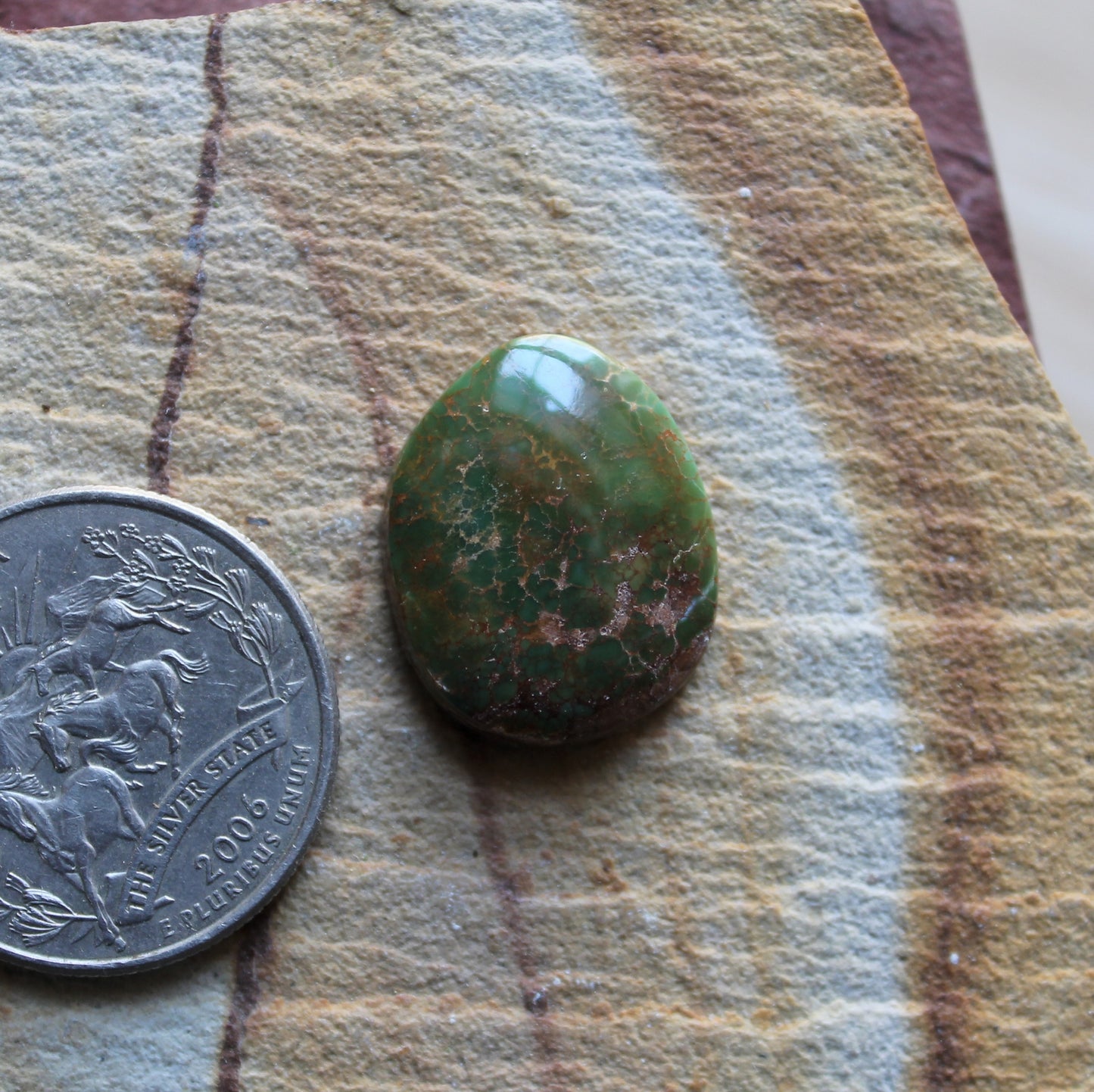 12 carat dark green Stone Mountain Turquoise cabochon