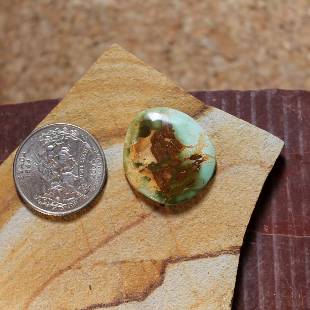 17 carat color change Stone Mountain Turquoise cabochon - Nevada Cassidys