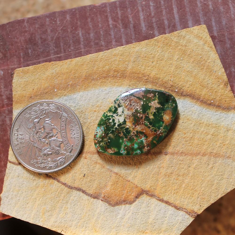 20 carats dark green Stone Mountain Turquoise cabochon - Nevada Cassidys