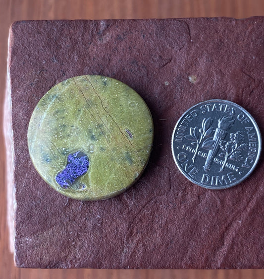 27 carat round Atlantisite cabochon by the Nevada Cassidys