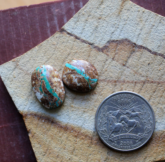 Two dark blue boulder-cut Stone Mountain Turquoise cabochons