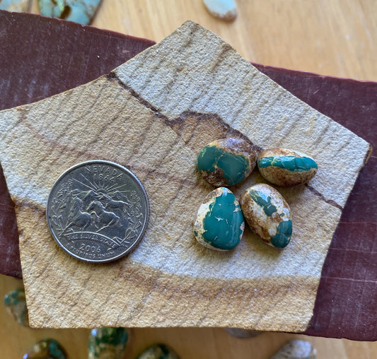 25 carats dark green boulder-cut Stone Mountain Turquoise cabochons