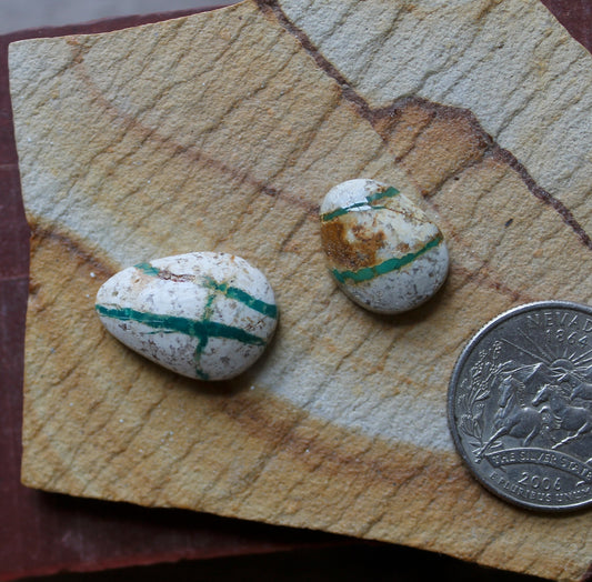 Green boulder-cut Stone Mountain Turquoise cabochons