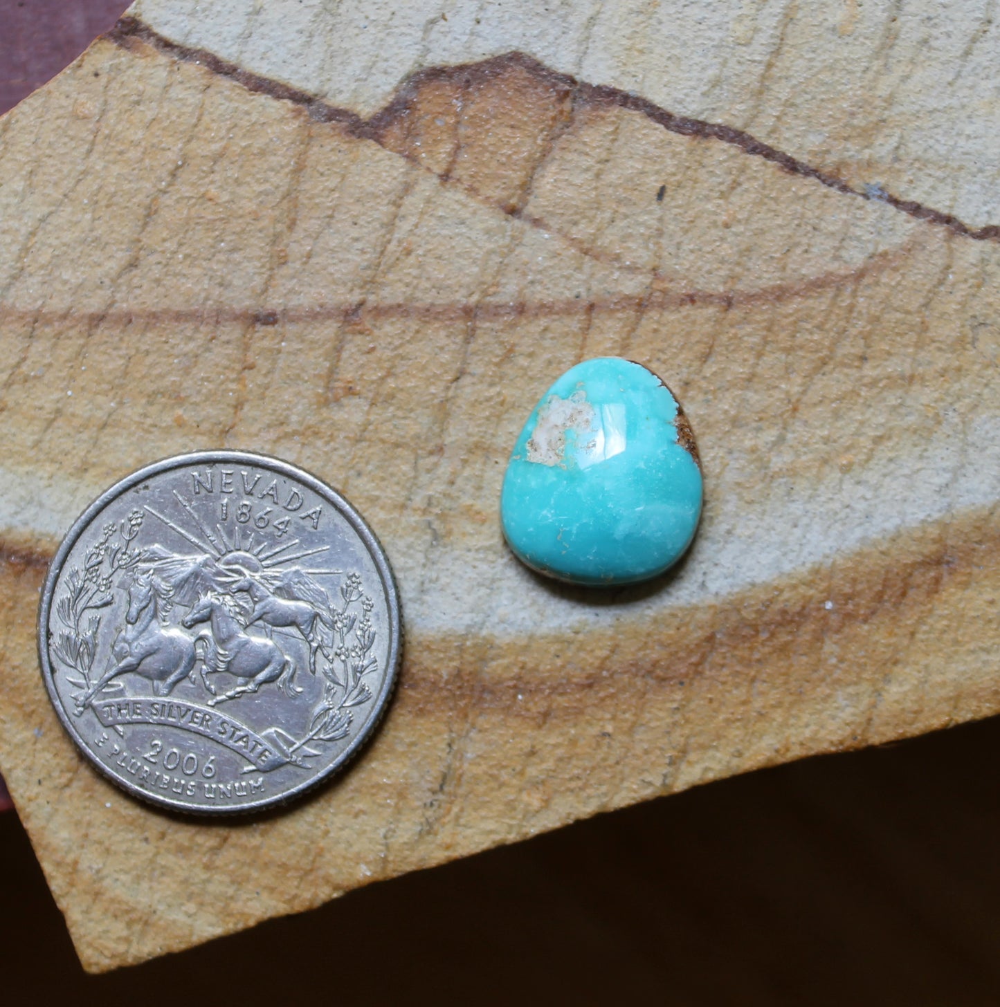 8 carat Stone Mountain Turquoise cabochon with a high dome