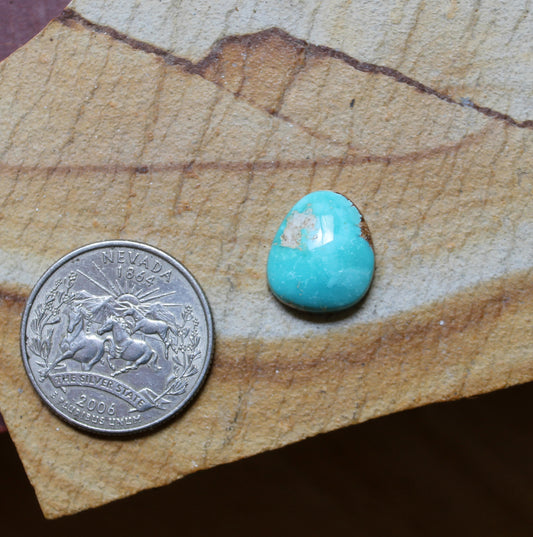 8 carat Stone Mountain Turquoise cabochon with a high dome