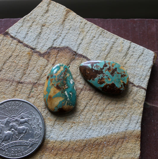 A pair of boulder-cut Stone Mountain Turquoise cabochons