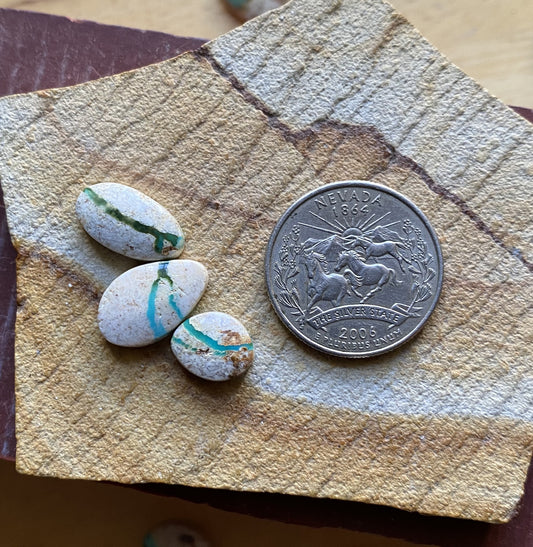 12 carats boulder-cut Stone Mountain Turquoise cabochons