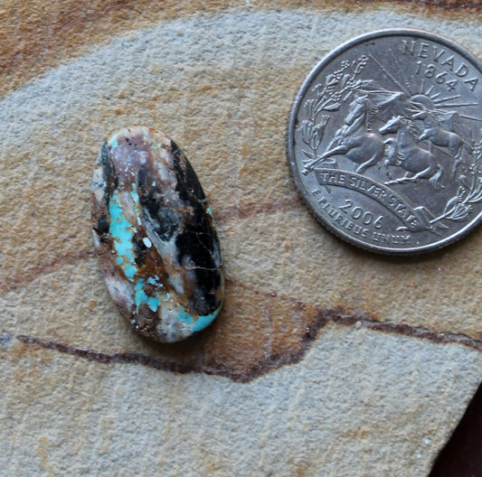 11 carat boulder-cut Stone Mountain Turquoise cabochon