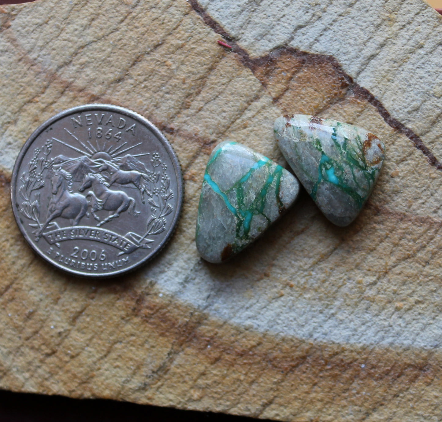 Two boulder-cut Stone Mountain Turquoise cabochons