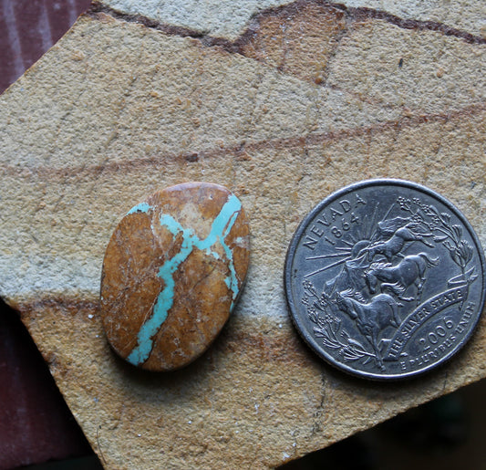 14 carat boulder-cut Stone Mountain Turquoise cabochon