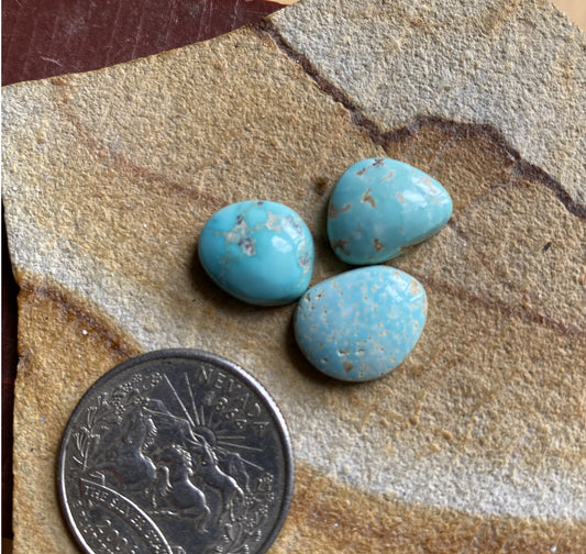 13 carats blue Stone Mountain Turquoise cabochons