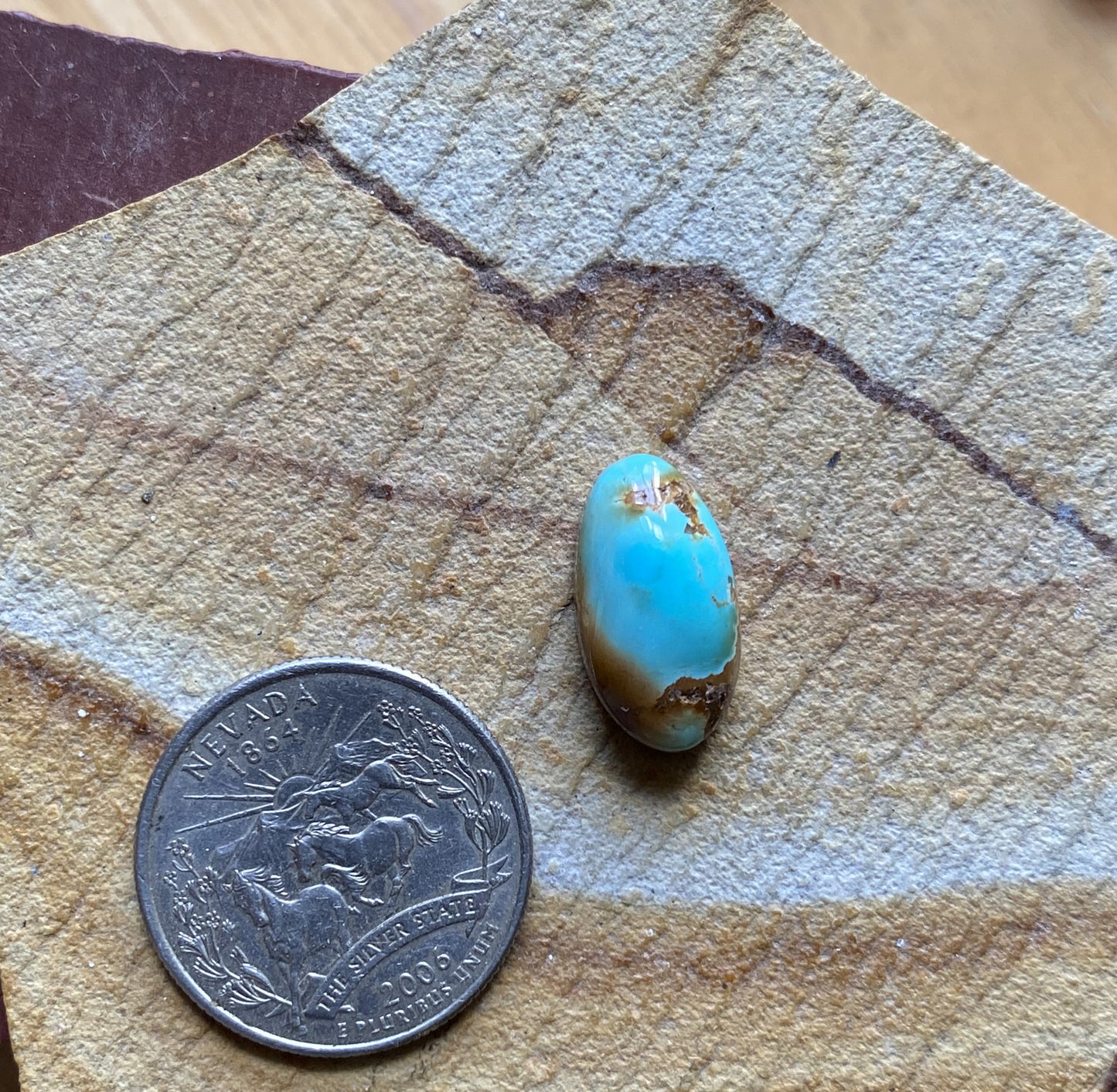 10 carat blue Stone Mountain Turquoise cabochon oval with a high dome