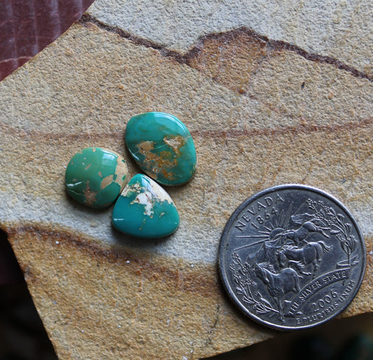 A trio of green teal Stone Mountain Turquoise cabochons