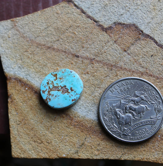 7 carat blue Stone Mountain Turquoise cabochons