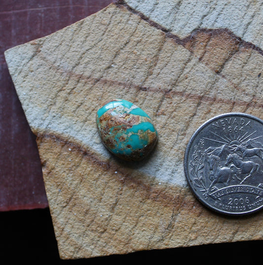 7 carat boulder-cut Stone Mountain Turquoise cabochon with a high dome