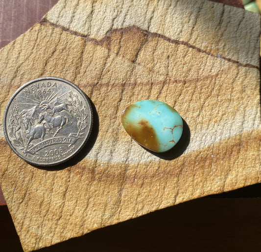 4 carat color change natural Stone Mountain Turquoise cabochon