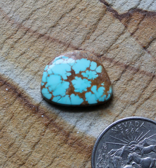 9 carat blue Stone Mountain Turquoise cabochon with spiderweb matrix