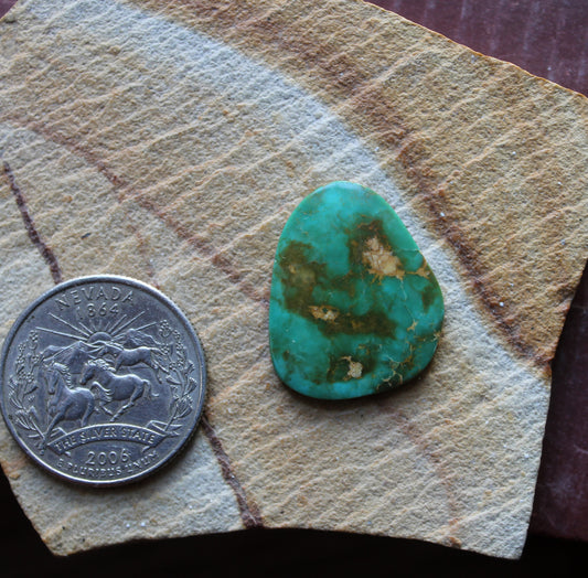 12 carat green Stone Mountain Turquoise cabochon