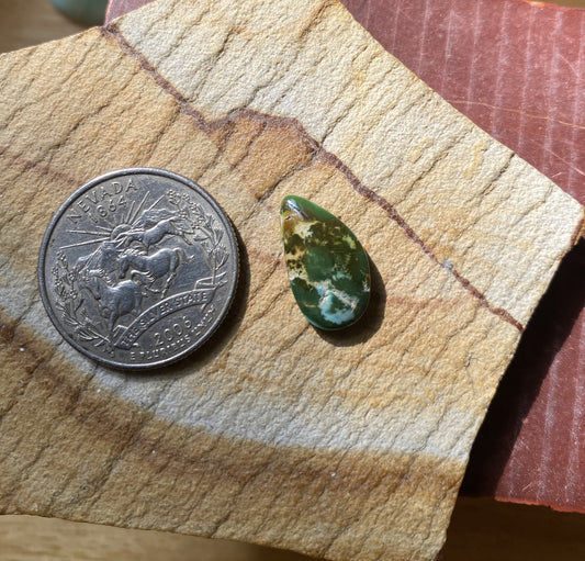 5 carat color change natural Stone Mountain Turquoise cabochon