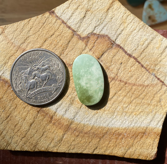 8 carat green natural Stone Mountain Turquoise cabochon