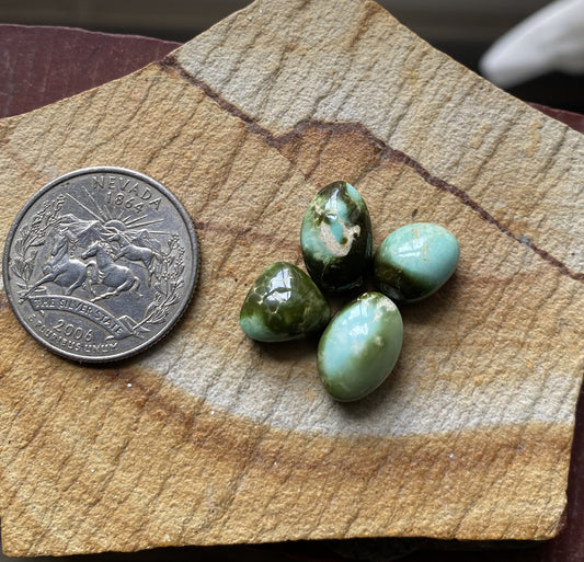 23 carats natural green Stone Mountain Turquoise cabochons