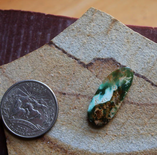 8 carat color change Stone Mountain Turquoise cabochon