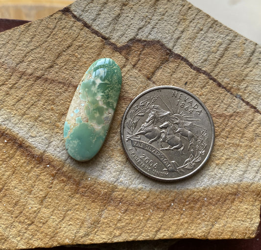 11 carat natural color change Stone Mountain Turquoise cabochon