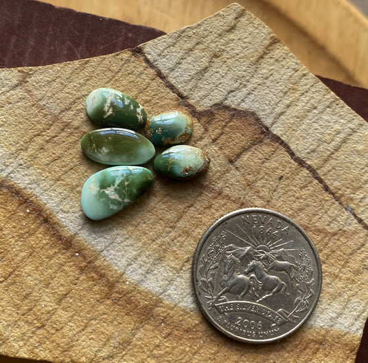 11 carat natural color change Stone Mountain Turquoise cabochons