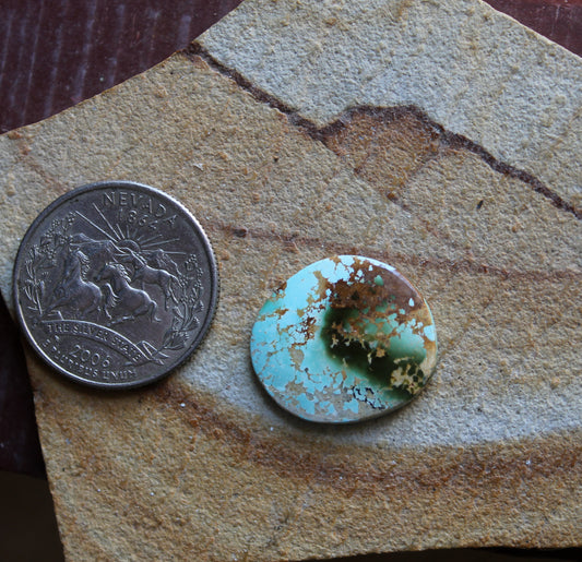 9 carat color change Stone Mountain Turquoise cabochon