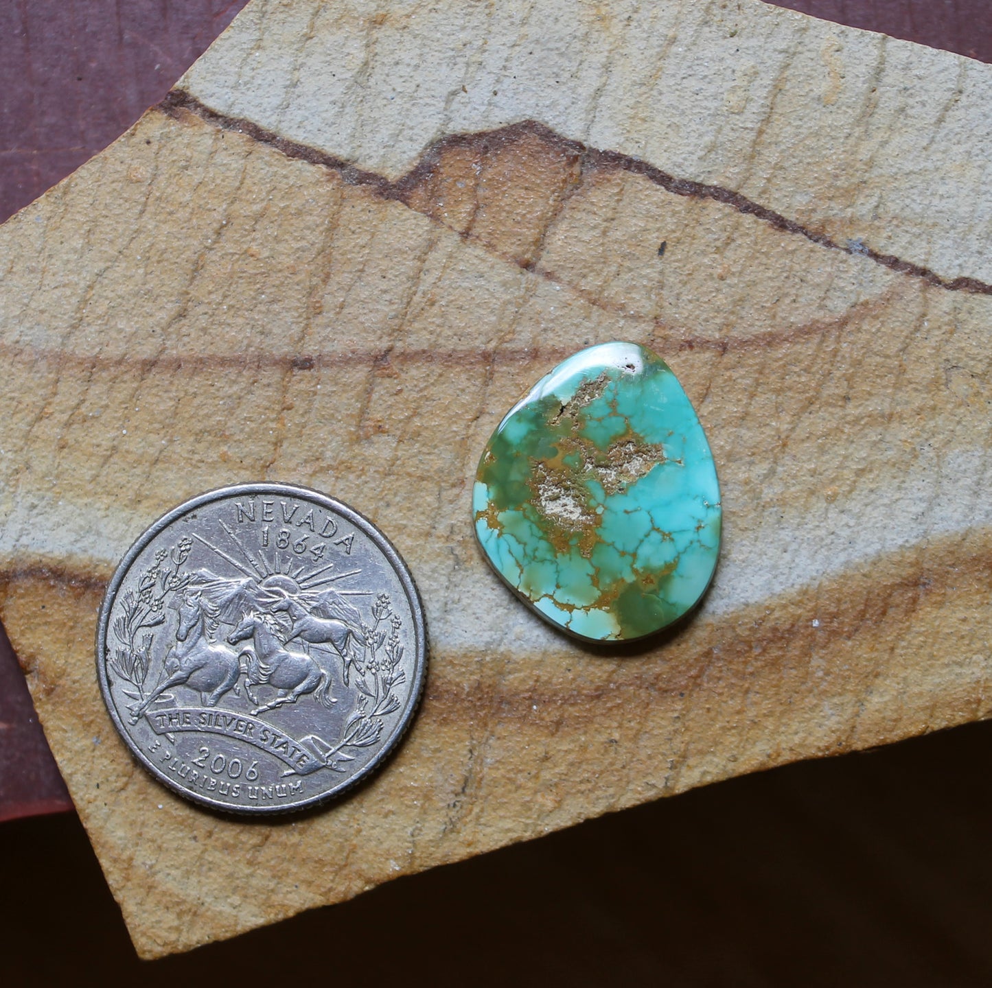 10 carat Stone Mountain Turquoise cabochon with spiderweb matrix
