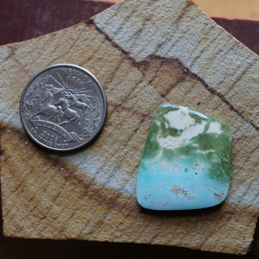 22 carat color change Stone Mountain Turquoise cabochon