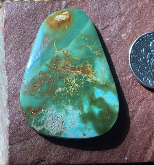 40 carat color change Stone Mountain Turquoise cabochon with red matrix