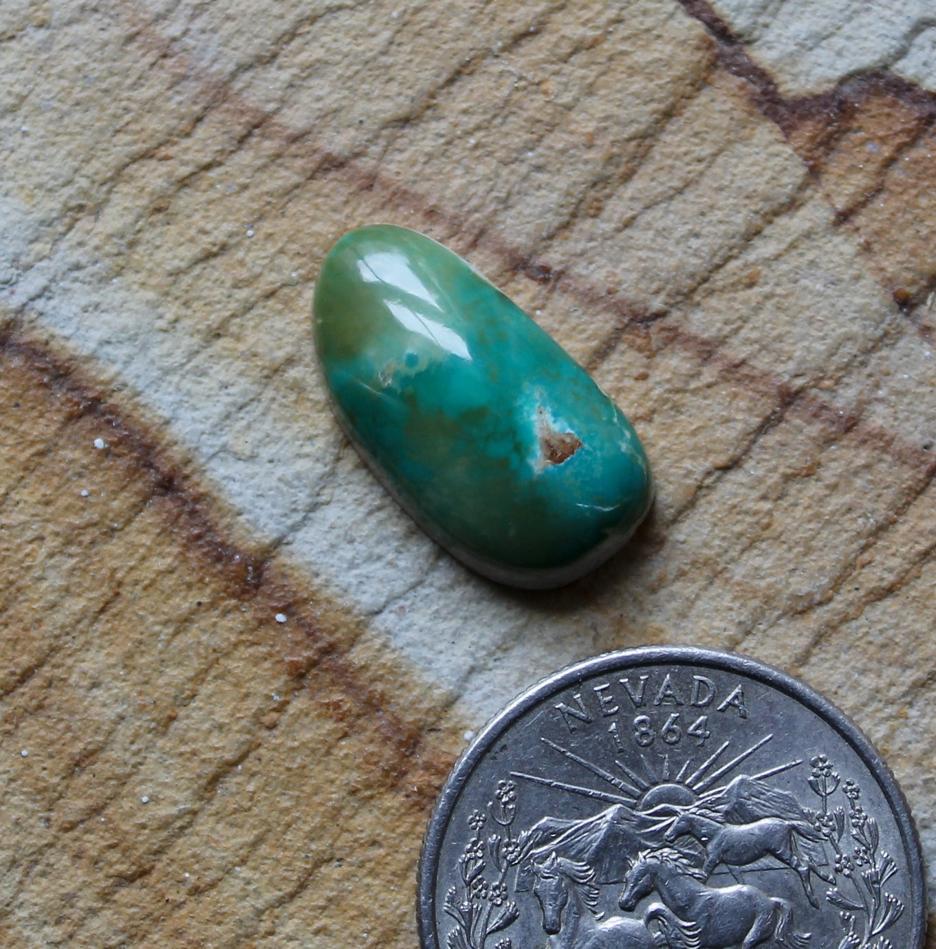9.6 carat green Stone Mountain Turquoise cabochon with a high dome