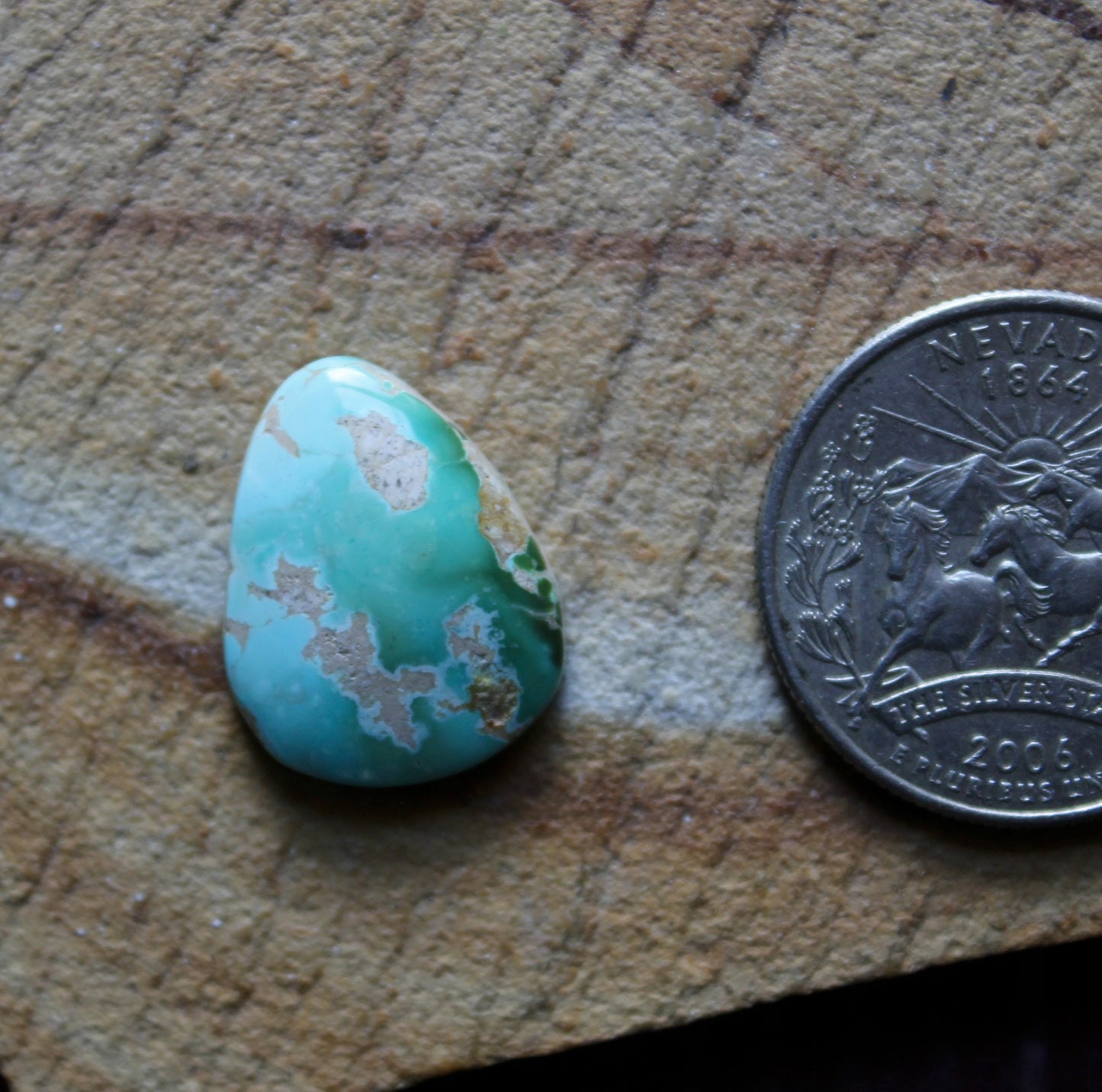 9 carat color change Stone Mountain Turquoise cabochon