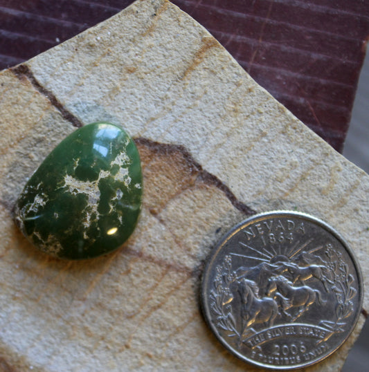 17 carat dark green Stone Mountain Turquoise cabochon with a high dome
