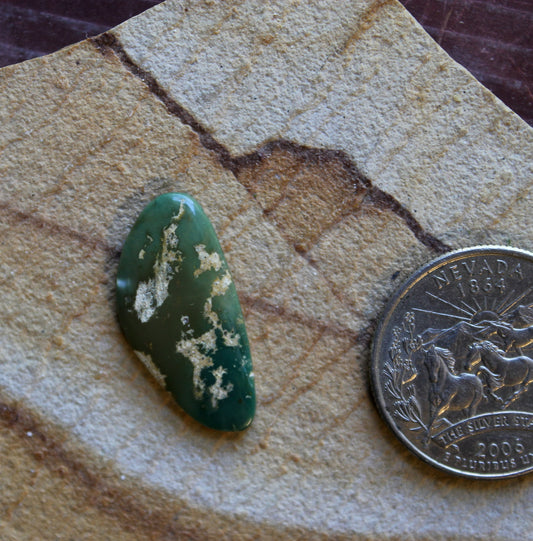 7 carat deep green Stone Mountain Turquoise cabochon