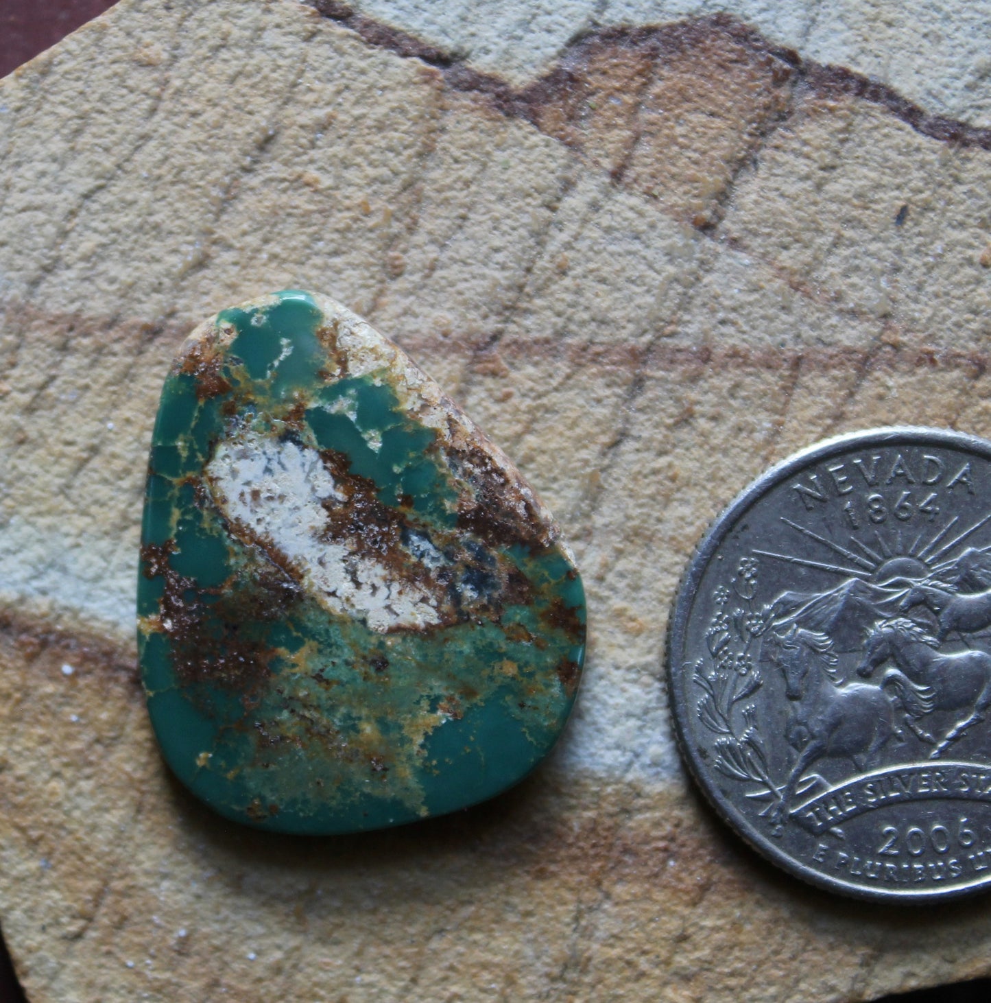 19 carat dark green Stone Mountain Turquoise cabochon