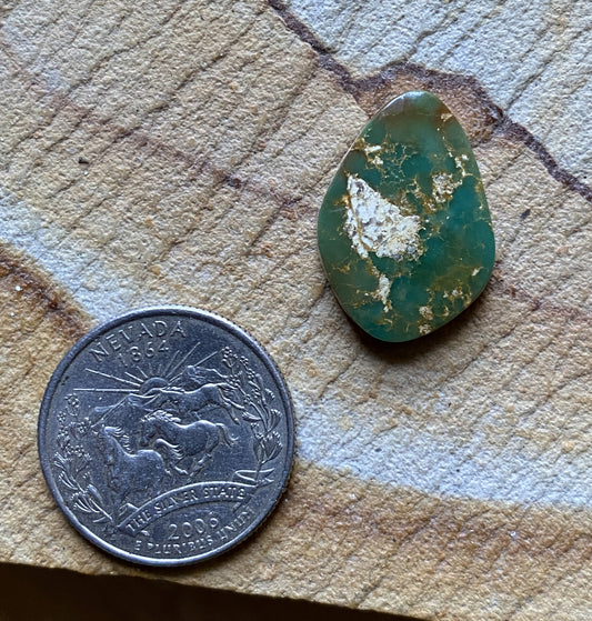11 carat forest green Stone Mountain Turquoise cabochon