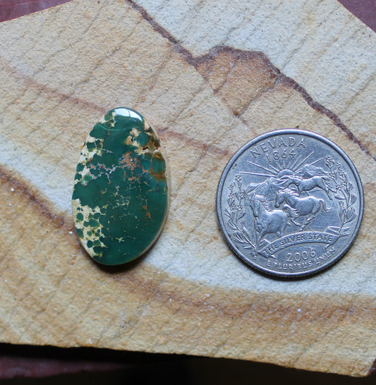14 carat dark green Stone Mountain Turquoise cabochon