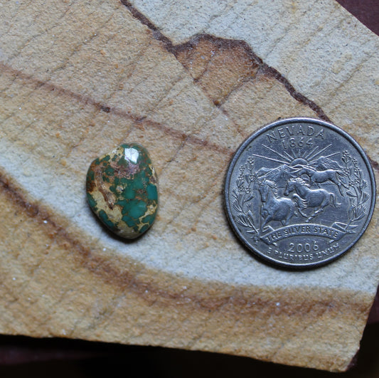 5 carat green Stone Mountain Turquoise cabochon
