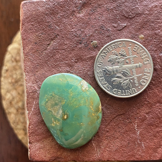 12.5 carat green turquoise cabochon from Stone Mountain Mine