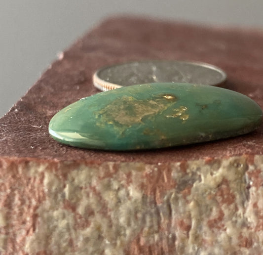 12.5 carat green turquoise cabochon from Stone Mountain Mine