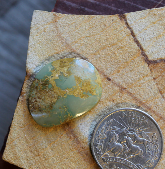 18 green Stone Mountain Turquoise cabochon with a rare color